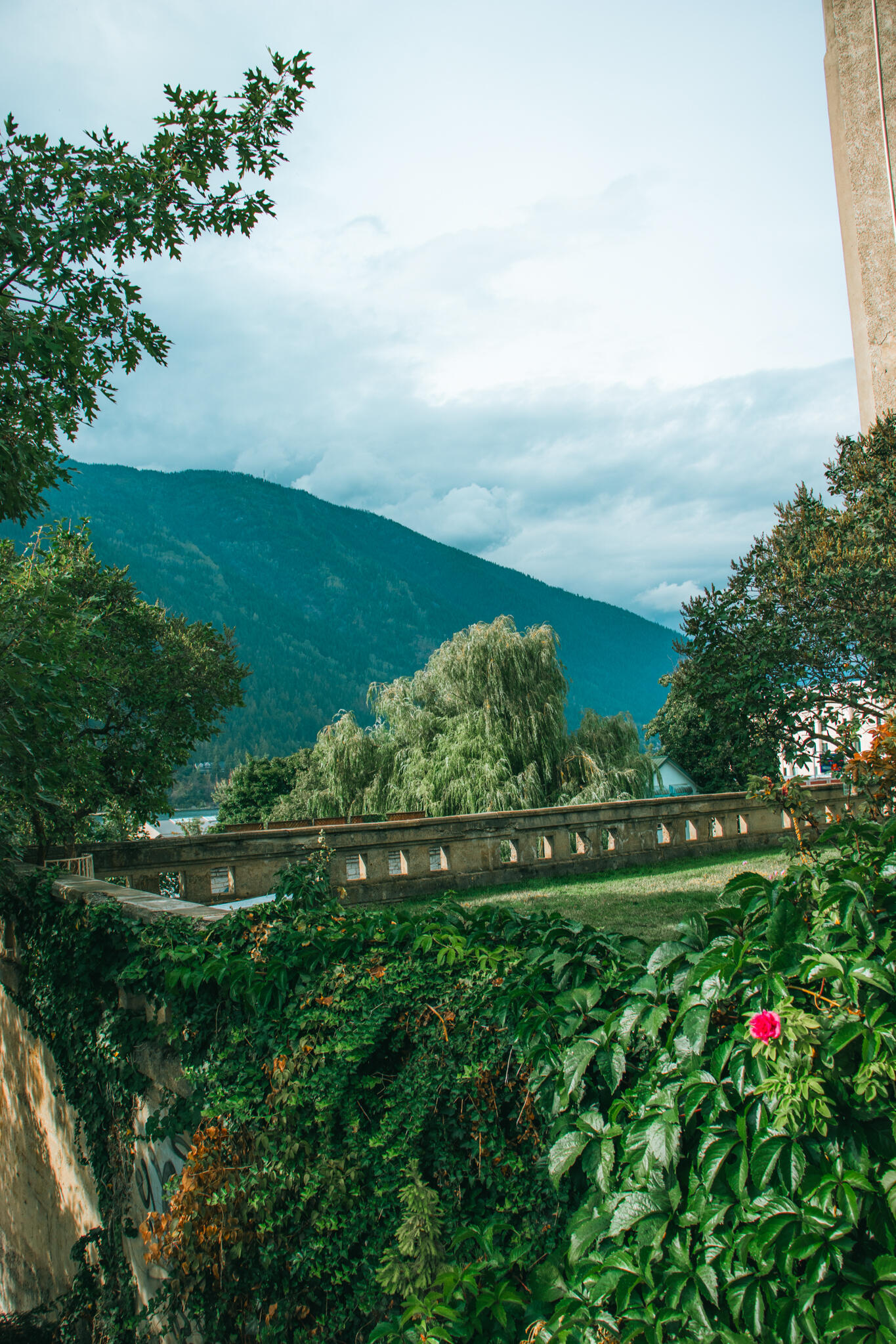 A rooftop garden features lush foliage in the foreground with a grassy floor and a brick wall surrounding it. In the background is mountains and an overcast sky.